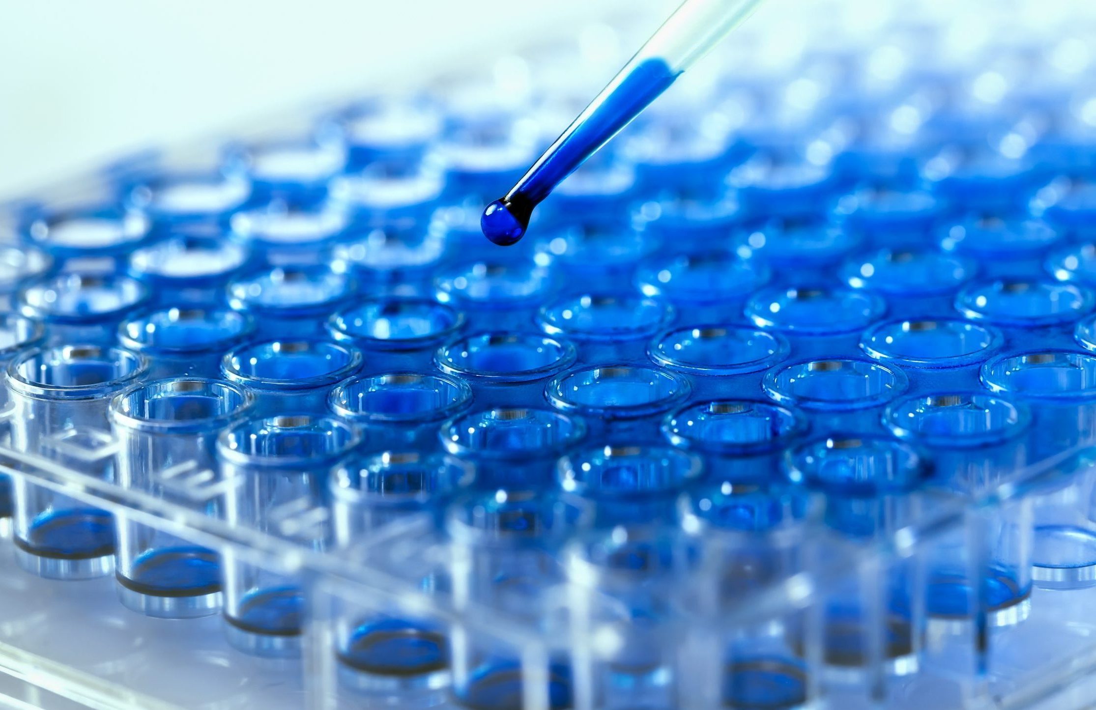 Of course. Here is a description of the image in English: This is a close-up photograph of a laboratory procedure. A pipette is carefully dispensing a single, vibrant blue drop of liquid into one of the many small, circular wells of a transparent microplate (also known as a multi-well plate).