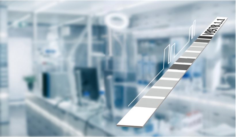 The image is a graphic representation of a test strip, for a LINE assay. The strip is shown at an angle, with several different colored or shaded segments on it, and the code 