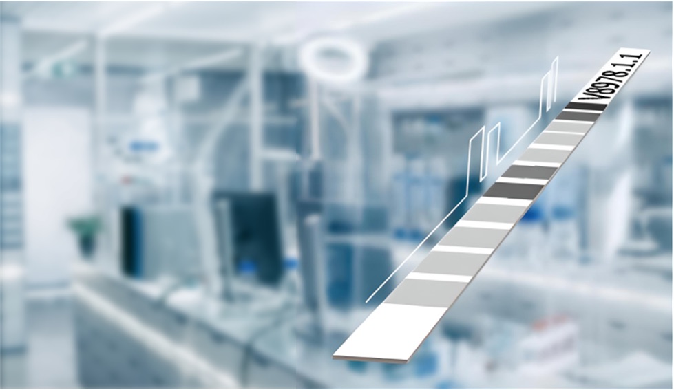 The image is a graphic representation of a test strip, for a LINE assay. The strip is shown at an angle, with several different colored or shaded segments on it, and the code "V8978.1.1" is visible on the top right segment. The strip is overlaid on a blurred background of a modern-looking laboratory with various pieces of equipment.