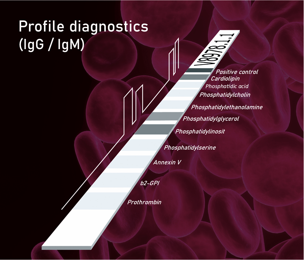Anfrage erfolgreich

This image shows the results of a blood test for profile diagnostics, specifically looking for IgG and IgM antibodies. The test uses an immunoblot strip to detect antibodies against various targets.

The strip lists several antigens, including a positive control and a range of phospholipids and other proteins like Annexin V, b2-GPI, and Prothrombin. This type of test is commonly used to diagnose or investigate conditions related to antiphospholipid syndrome (APS), an autoimmune disorder that can cause blood clots.