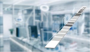 The image shows a long, flat laboratory strip featuring alternating light and dark gray sections against a blue background. The strip contains vertical lines and small rectangular markers along its length