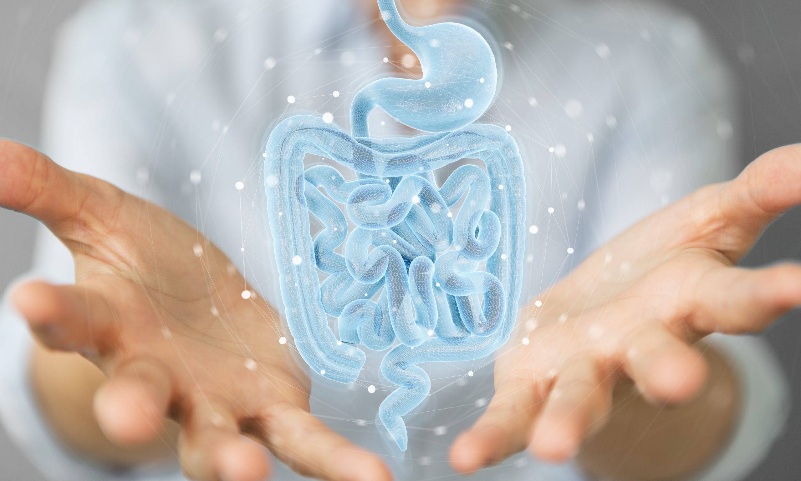 A glowing, blue digital 3D model of the human digestive tract, including the stomach and intestines, hovering above a pair of open palms.