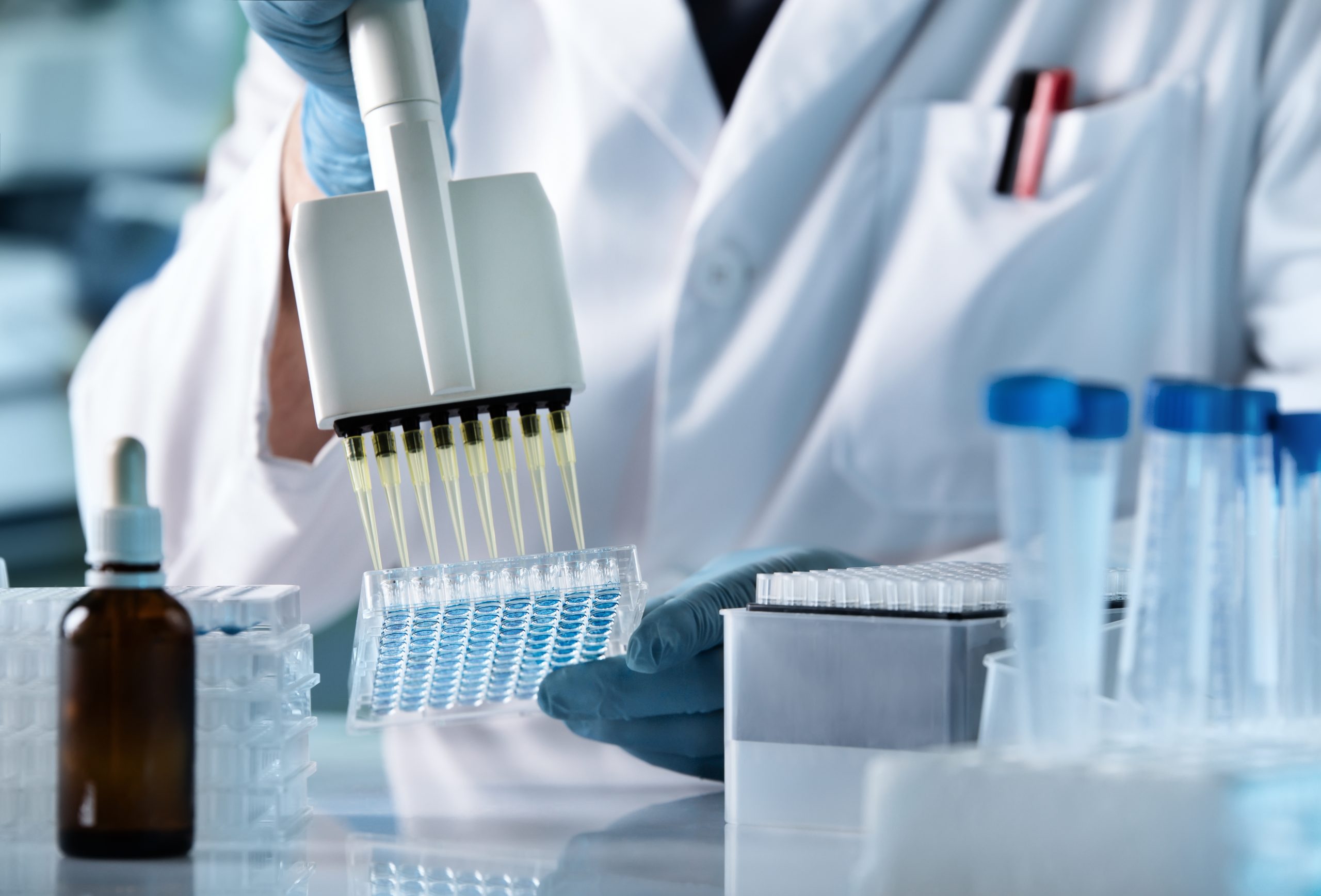 Close-up of laboratory work: A person in a white lab coat and blue protective gloves uses a multichannel pipette to precisely fill a liquid into a 96-well plate. Laboratory equipment such as test tubes and an amber glass bottle are visible in the background.